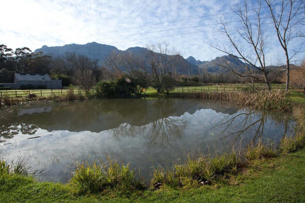 Viettz Suite Stellenbosch Kültér fotó